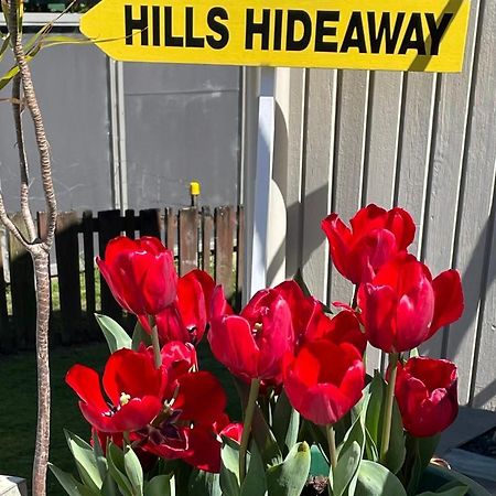 ホテル Hill'S Hideaway ダーガビル エクステリア 写真